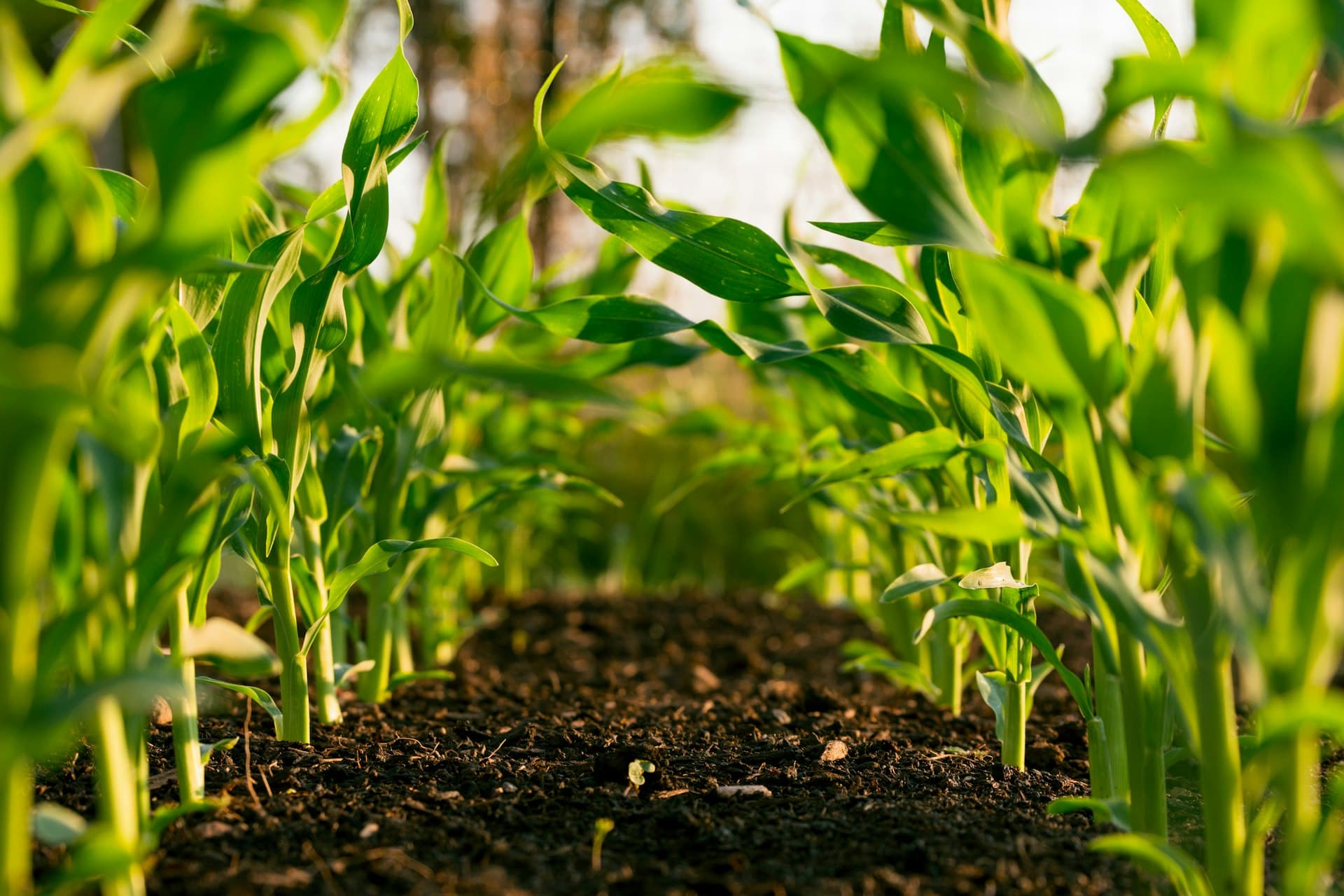 Agricultural technology and precision farming equipment